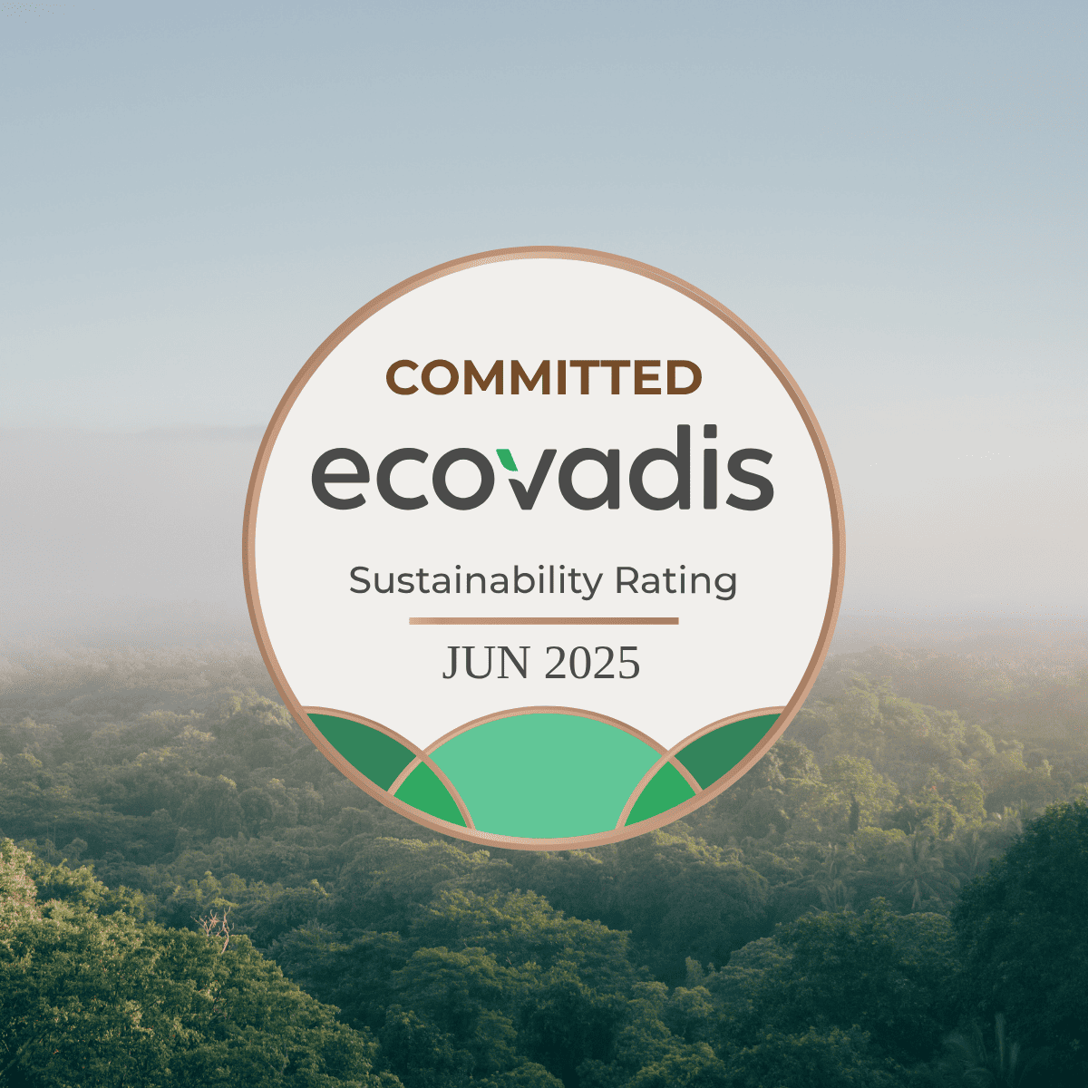 Certificazione EcoVadis 2025 (1)
